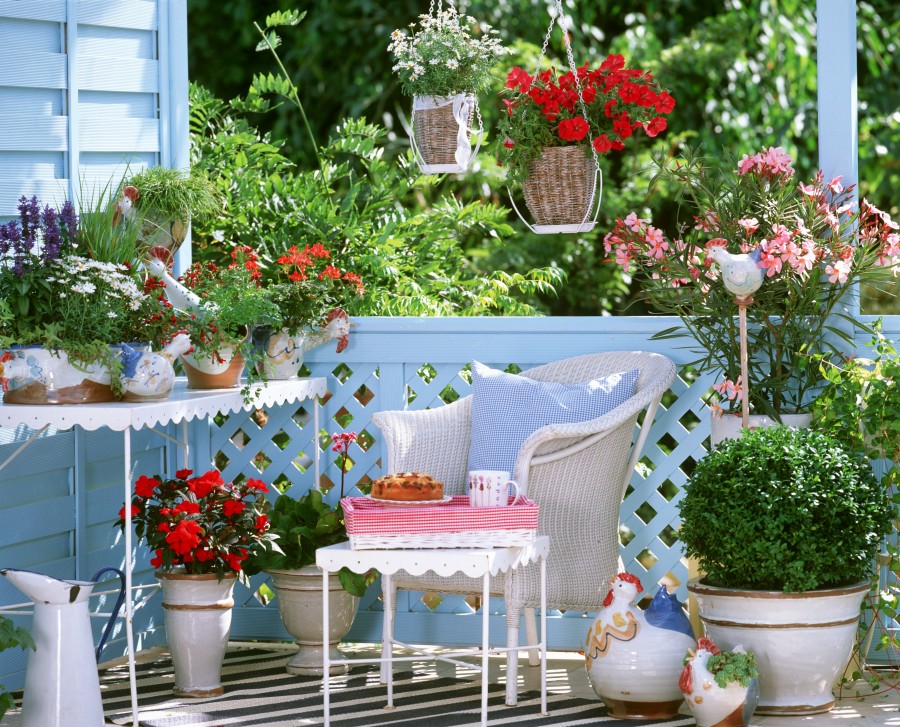 Estate in 10 mosse Estate-in-10-mosse, Estate, Fiori, Giardino, Living, Provenza, Style