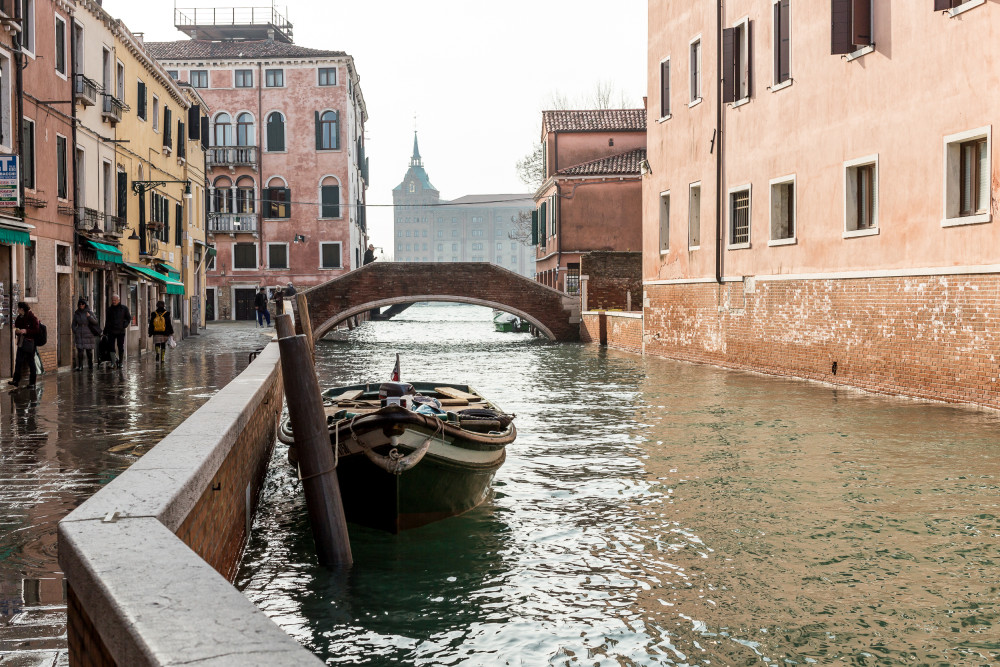 La Biennale di Venezia 2015 La-Biennale-di-Venezia-2015, Arte, Cinema, Venezia, Guida, Leone-d'oro, Laguna, Esposizione-Internazionale, Expo-2015, Italia