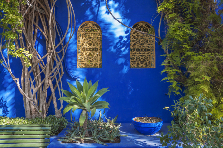 Giardino Majorelle, Majorelle, Marrakech, Colori, Giardino, Oriente, Viaggi, Marocco