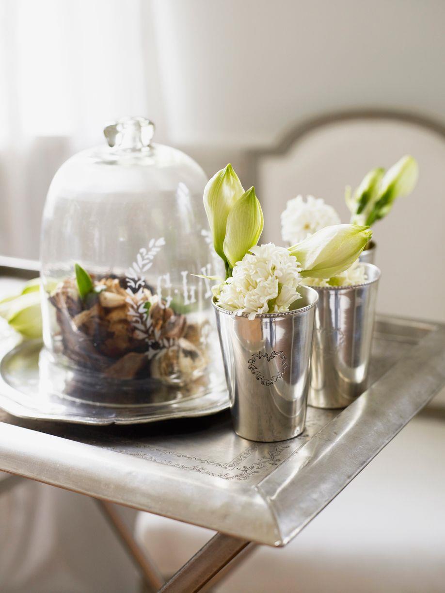 Piante in casa feng shui: piante portafortuna le migliori da ... Terrazza decorazione Piante