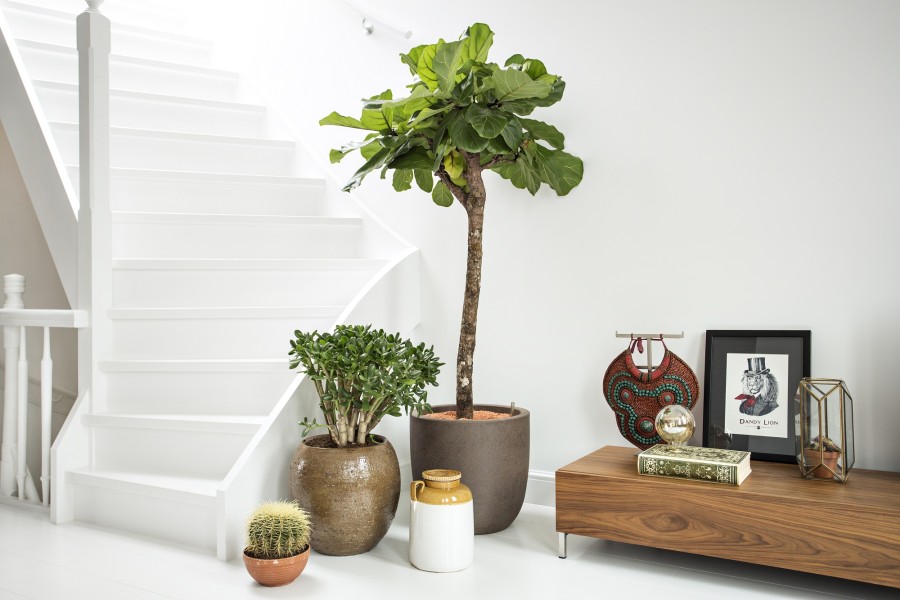 Vivere ad Amsterdam Casa Scandi Vivere-ad-Amsterdam, Casa, Style, Dalani, Casa-Scandi, Stile-Scandi, Amsterdam