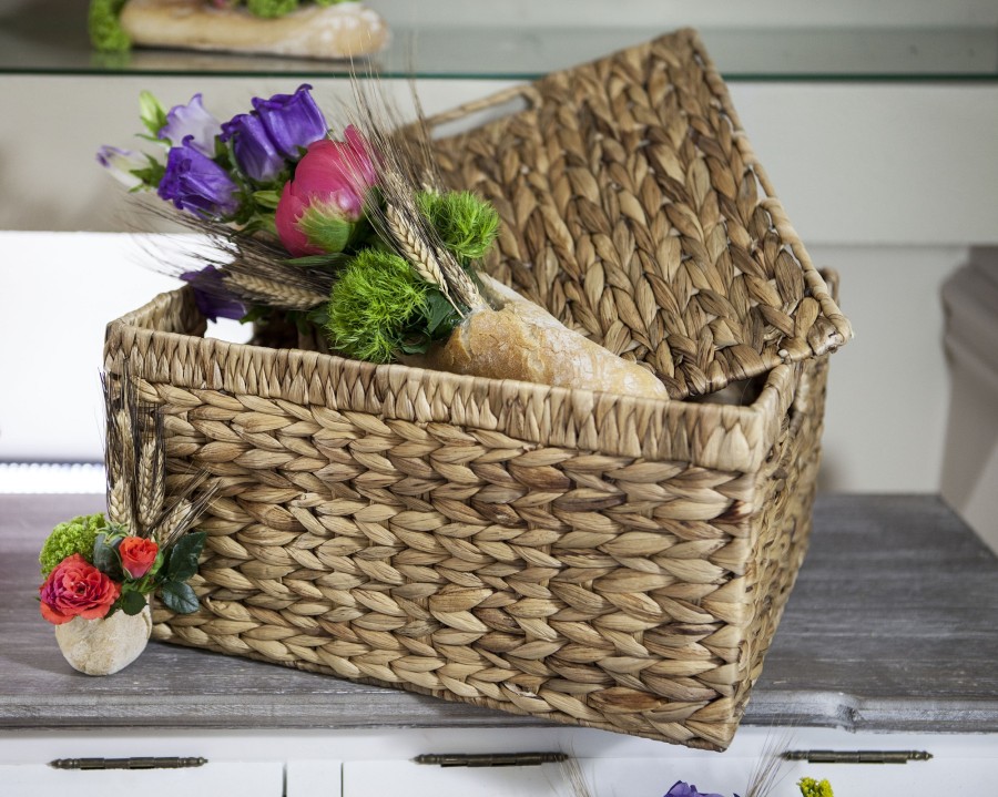 Ellen Hidding Green&Glam Ellen-Hidding, Green&Glam, Decorazioni, Fai-da-te, Fiori, Natura, Ricette, Style, Tv, La5