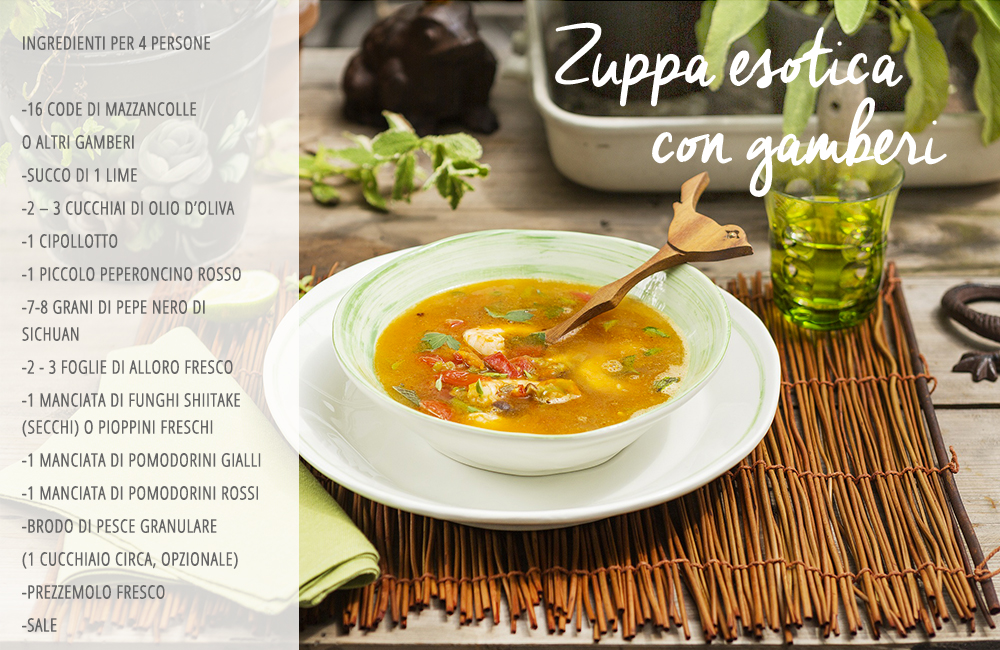 Ricette Tropical di Csaba dalla Zorza Zuppa Esotica con Gamberi Ricette-tropical-di-csaba-dalla-zorza, Csaba-dalla-zorza, Colori, Consigli, Cucina, Food, Ricette, Trend, Trend-tropical, Ricette-veloci, Estate, Dieta