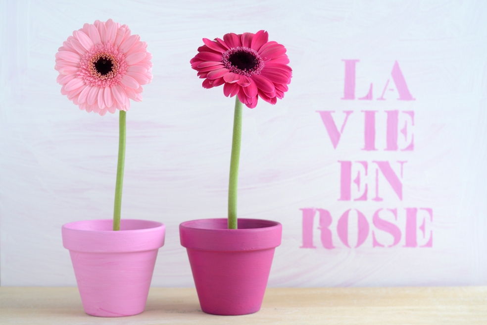 Arredare-con-il-rosa, Un-tocco-di-rosa-in-ogni-stanza, Rosa, Decorare-con-il-rosa, Dalani, Consigli, Colori, Autunno, Trend, Arredamento, Casa