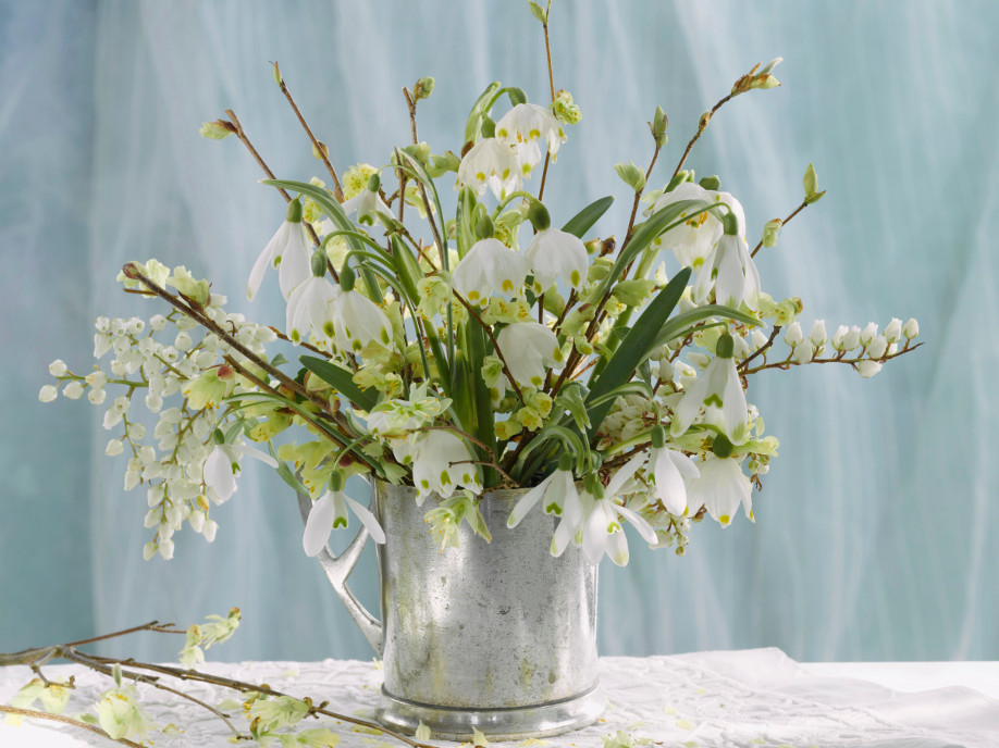 Bouquet invernale Decorare con Fiori e Frutti Invernali Idee Fai da Te per Natale Bouquet-invernale, Fiori-invernali, Fiori, Decorazioni, Fai-da-te, Natale, Idee