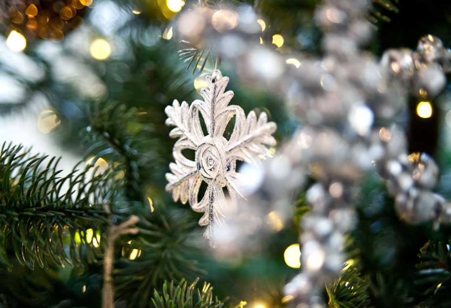 Natale con Delia Fischer Decorazioni per la Casa e i Colori e i Trend per le Feste Dalani Delia-Fischer, Casa, Natale, Decorazioni, Dalani, Trend, Colori