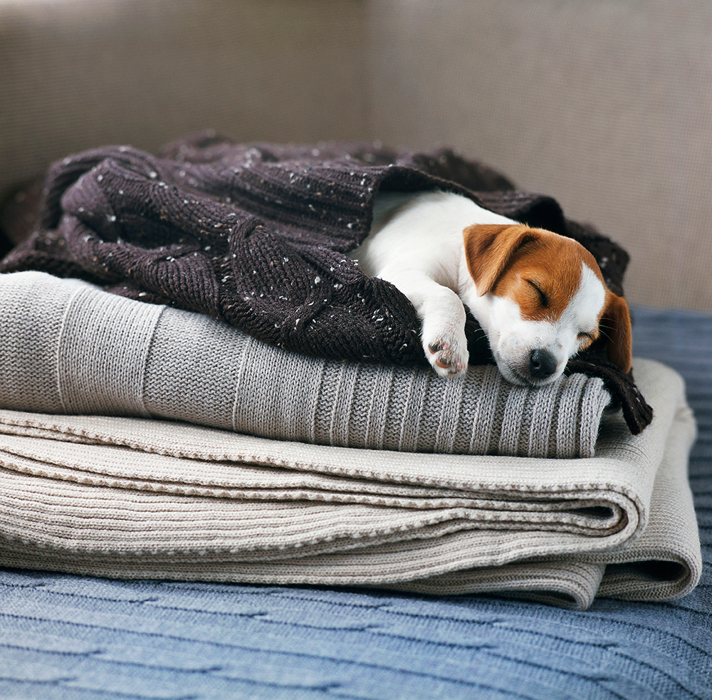 10 Regole per una Domenica Pigra Arredamento Relax Weekend 10-regole-per-una-domenica-pigra, Arredamento, Fashion, Mise-en-place, Relax, Style, Weekend, Domenica