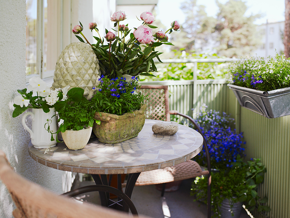Garden Design Progetto Giardino Fiori e Trend Consigli Esperto Arredamento Garden-design, Design, Fiori, Outdoor, Trend, Consigli, Progetto, Giardino