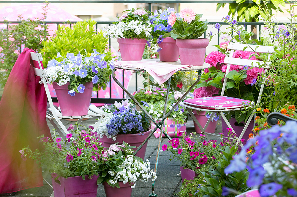 Garden Design Progetto Giardino Fiori e Trend Consigli Esperto Garden-design, Design, Fiori, Outdoor, Consigli, Progetto, Giardino, Arredamento