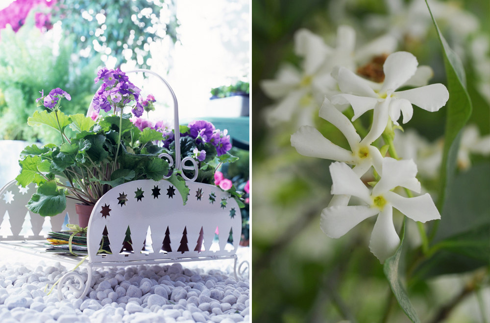 Garden Design Progetto Giardino Fiori e Trend Consigli Esperto Gerani Gelsomini Garden-design, Design, Fiori, Outdoor, Consigli, Progetto, Giardino, Arredamento