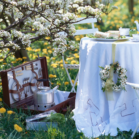 Organizzare un Picnic