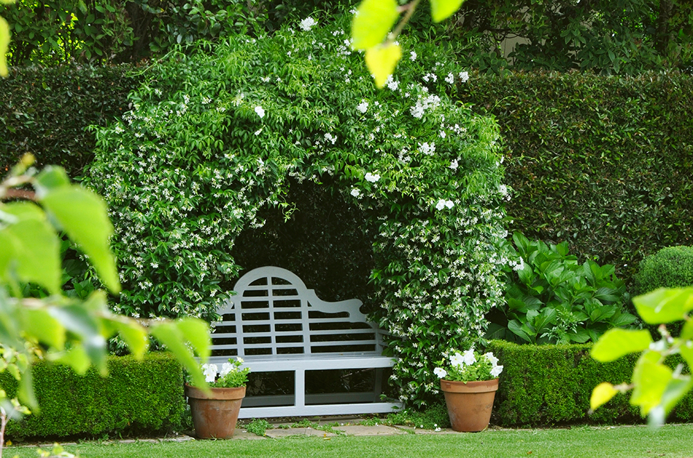 Giardino all'Italiana Progetto Outdoor Fiori Panca con Pergolato Giardino-all-italiana, Giardino-all-inglese, Fiori, Giardino, Primavera, Progetto, Outdoor
