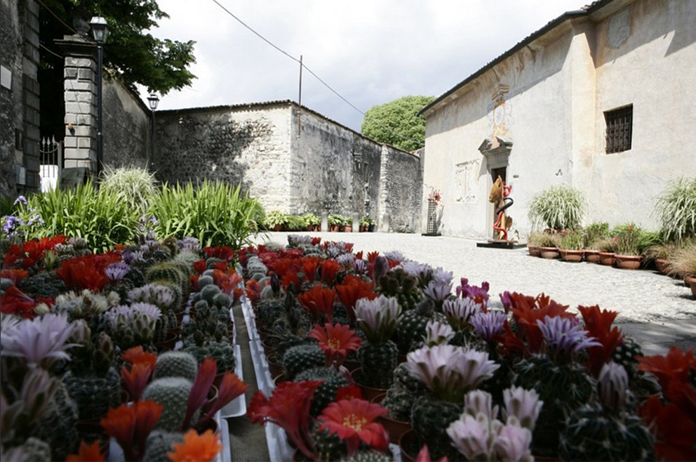 5 Eventi Imperdibili Primavera in Fiore Franciacorta in Fiore Eventi, 5 eventi imperdibili, Fiori, Giardino, Ispirazione, Trend, Franciacorta