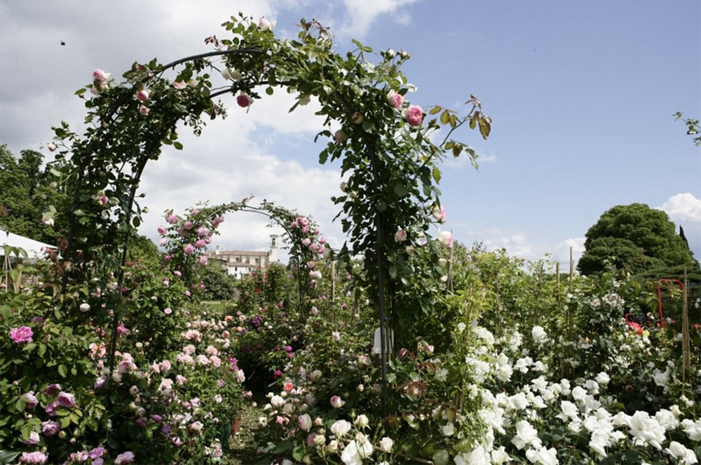 5 Eventi Imperdibili Primavera in Fiore Franciacorta in Fiore Eventi, 5 eventi imperdibili, Fiori, Giardino, Ispirazione, Trend, Franciacorta