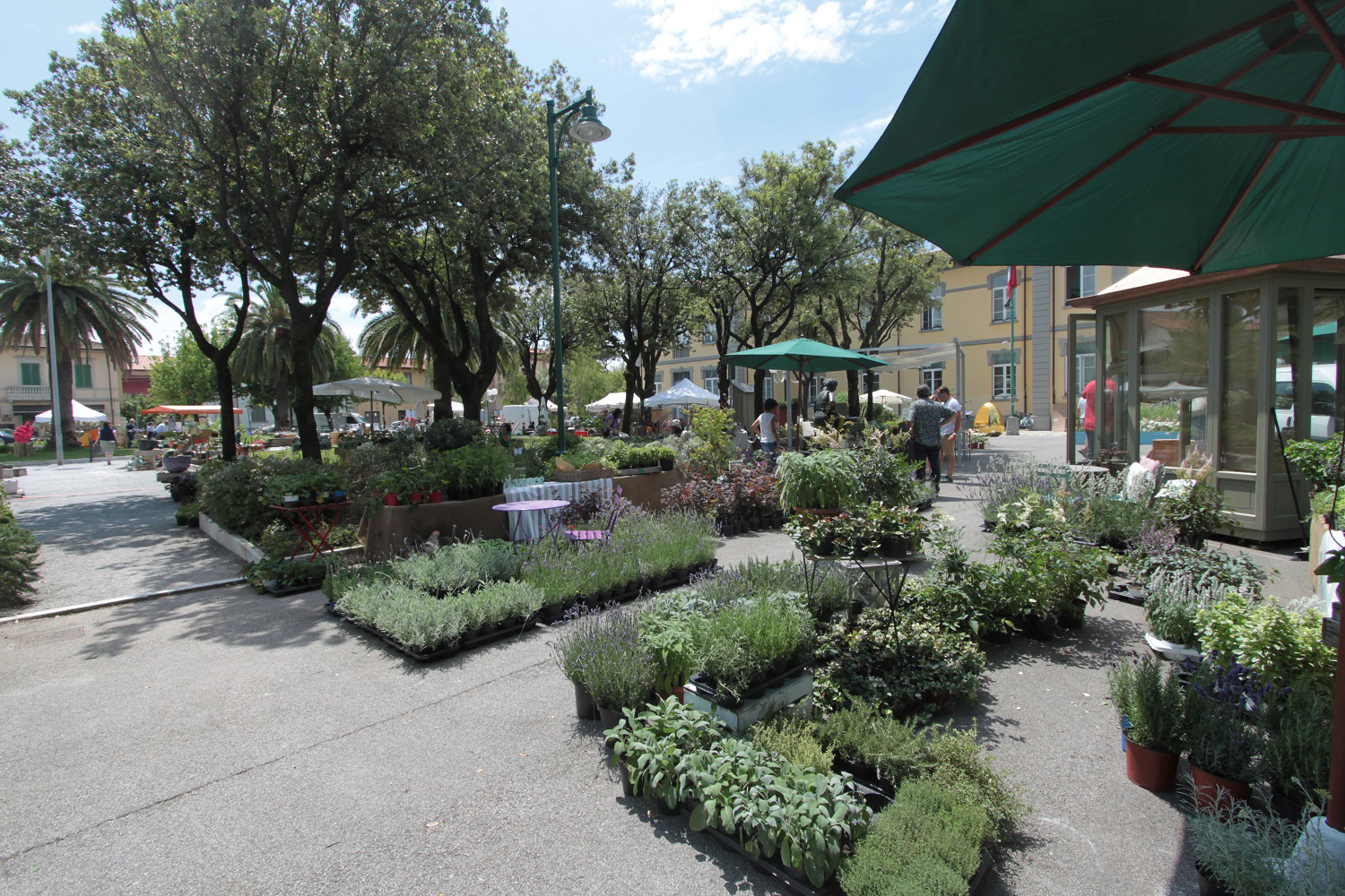 5 Eventi Imperdibili Primavera in Fiore Evergreen Forte Eventi, 5 eventi imperdibili, Fiori, Giardino, Ispirazione, Trend, Evergreen Forte