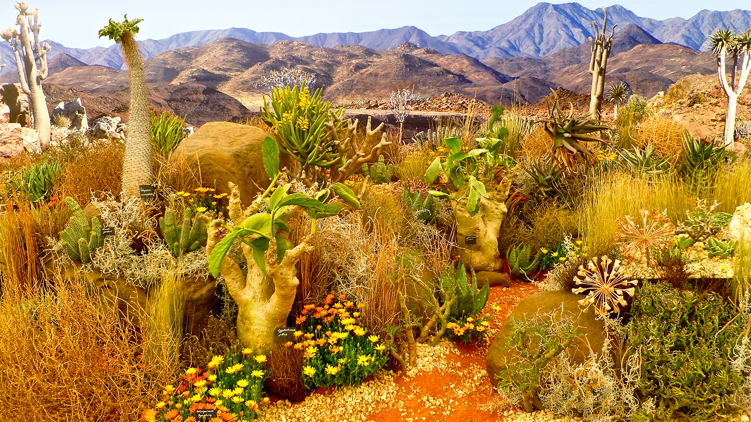 5 Eventi Imperdibili Primavera in Fiore Chelsea Flower Show Eventi, 5 eventi imperdibili, Fiori, Giardino, Ispirazione, Trend, RSH Chelsea Flower Show