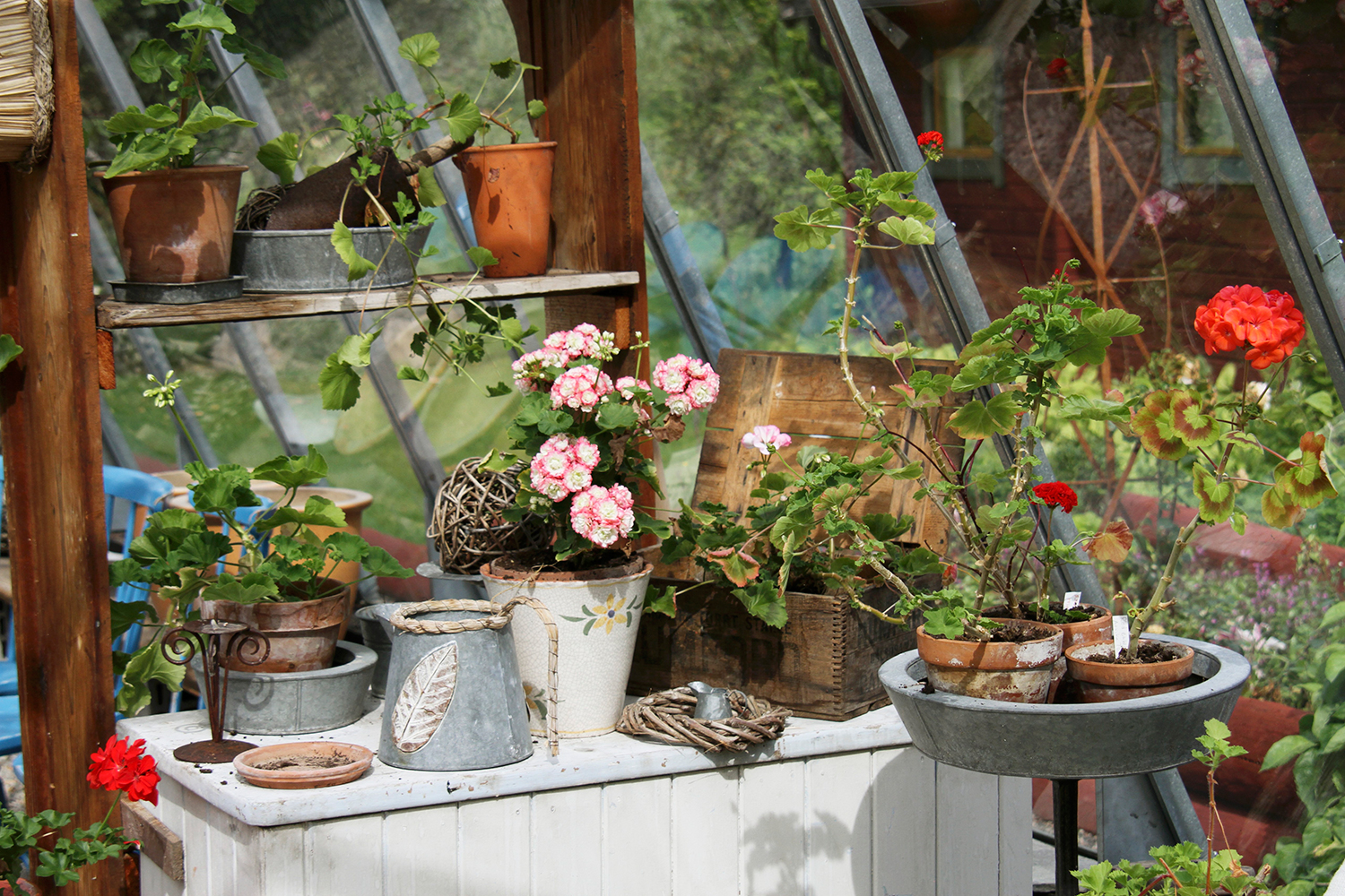 5 Eventi Imperdibili Primavera in Fiore Eventi, 5 eventi imperdibili, Fiori, Giardino, Ispirazione, Trend