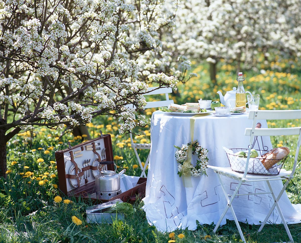 Dalani-organizzare-un-picnic-6