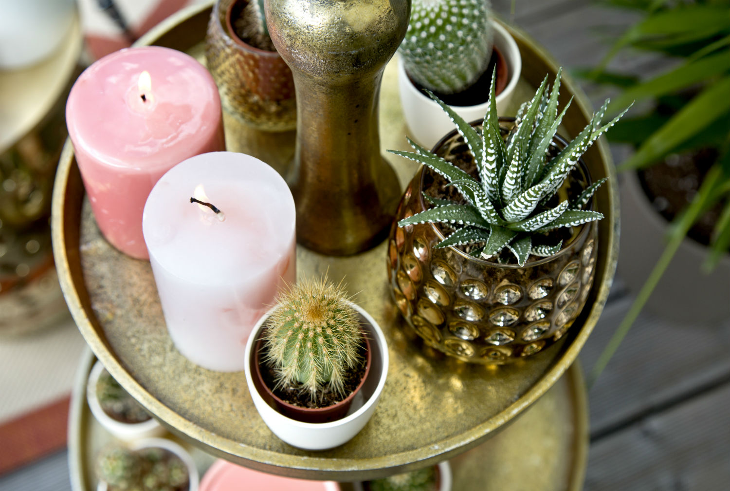 Dalani, Terrazzo, Giardino, Idee, Outdoor, Style, Trend