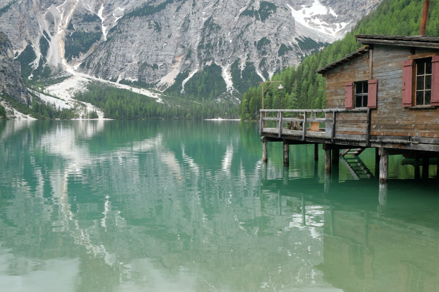 Dalani, Elena Braghieri, Natura, Estate, Ispirazioni, Milano, Passione