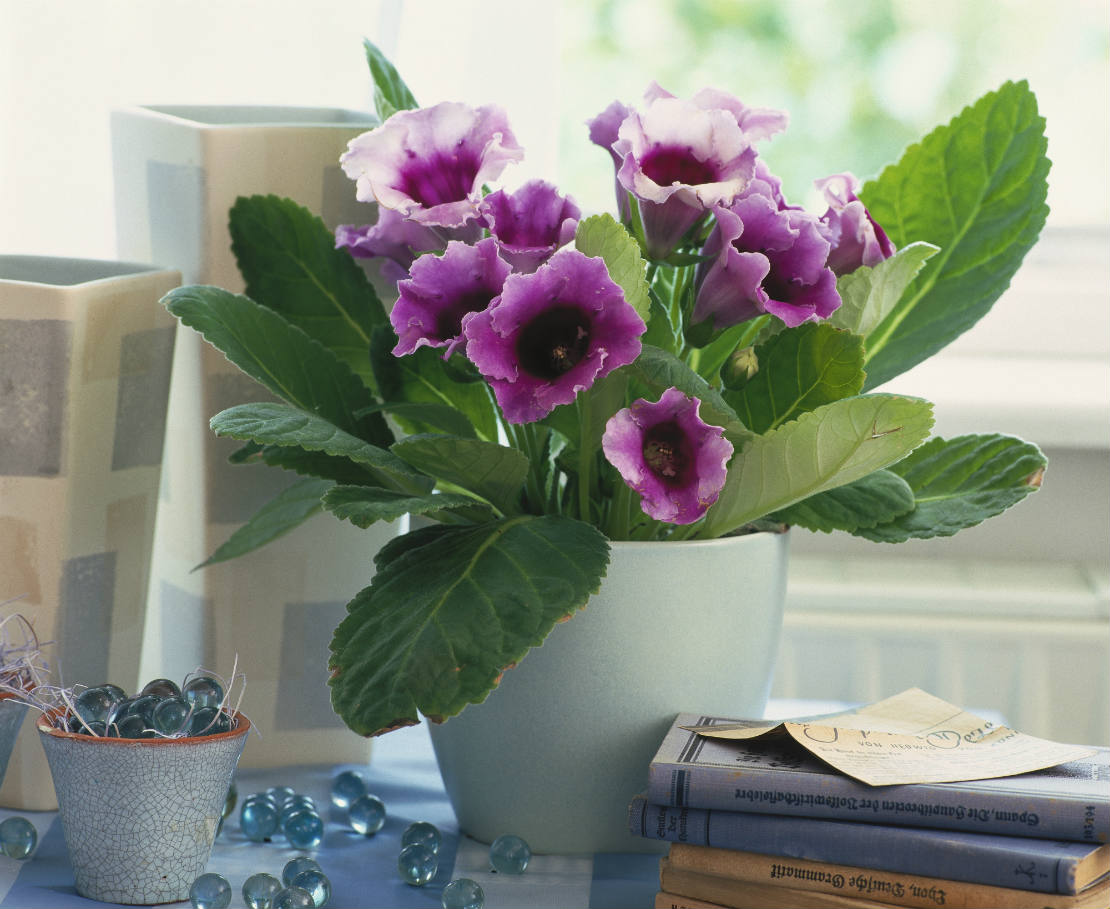 decorare l'ingresso