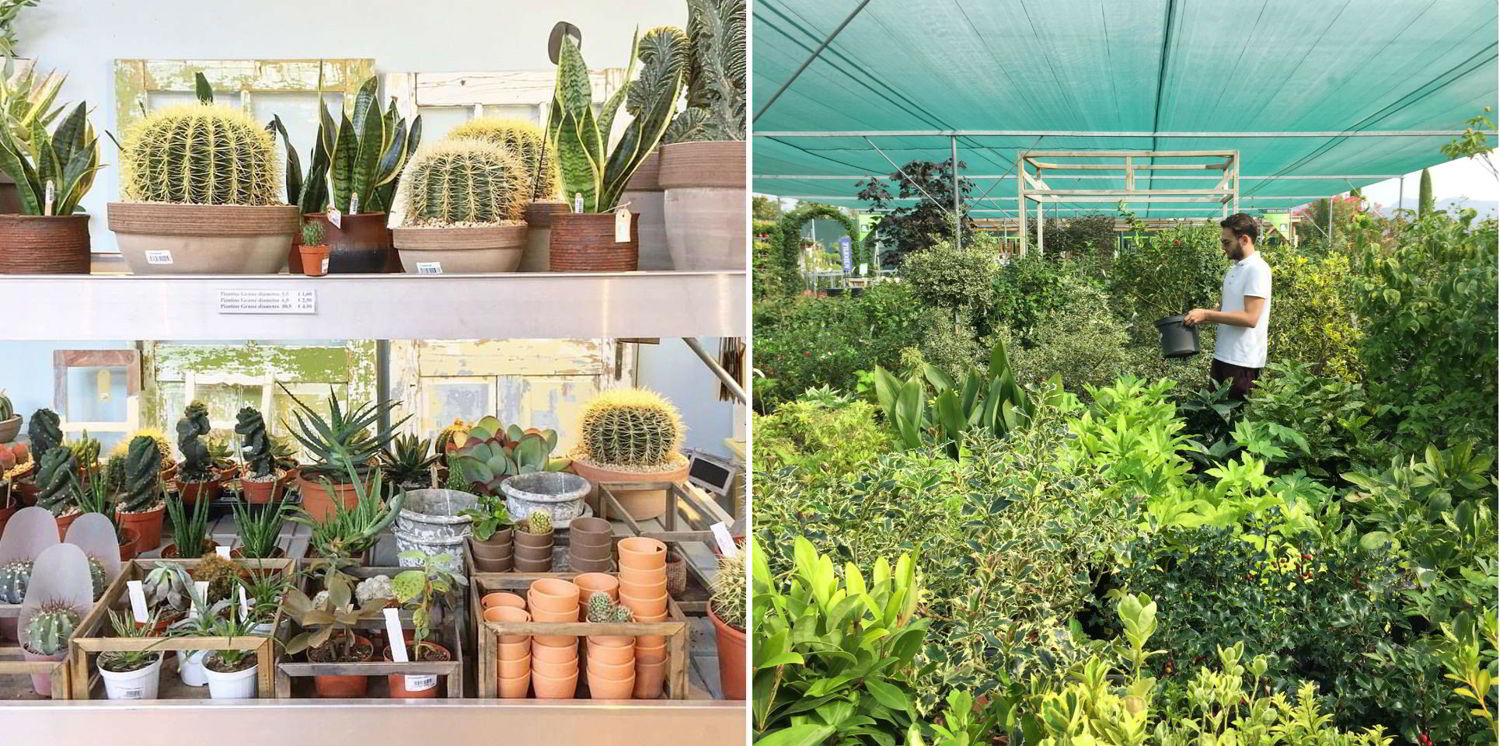 Dalani, Basil Green Pencil, Progetto, Design, Milano, Londra, Idee, Giardino, Casa, Fai da Te
