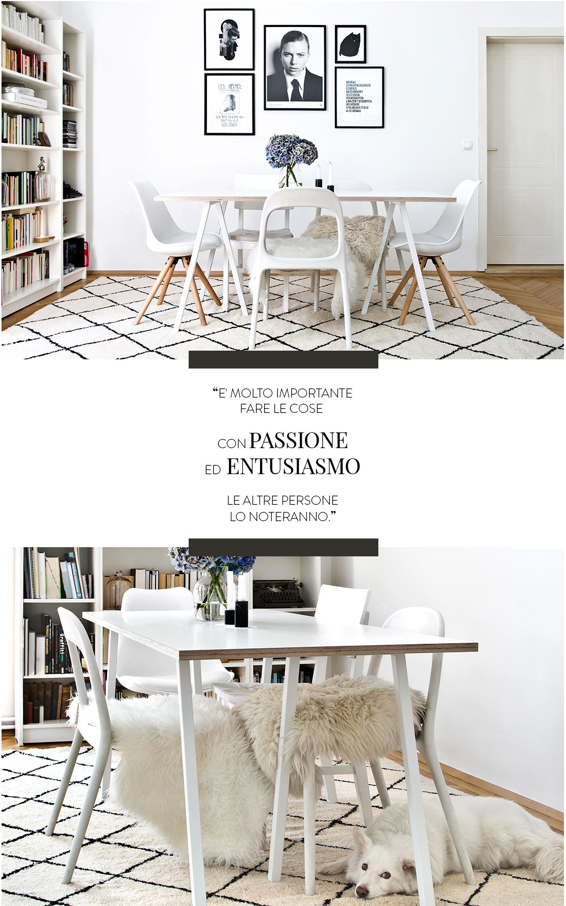 Dalani, Vienna, Casa, Style, Living, Moda, Colori