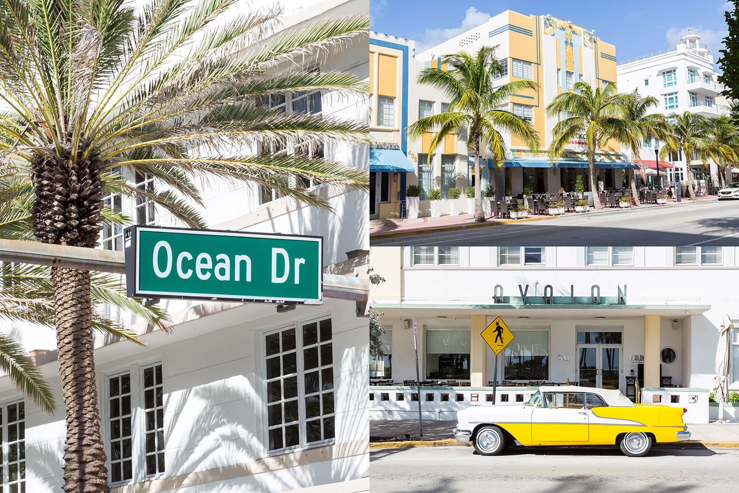 Dalani, Art Basel, Style, Miami, Moda, Arte, Design