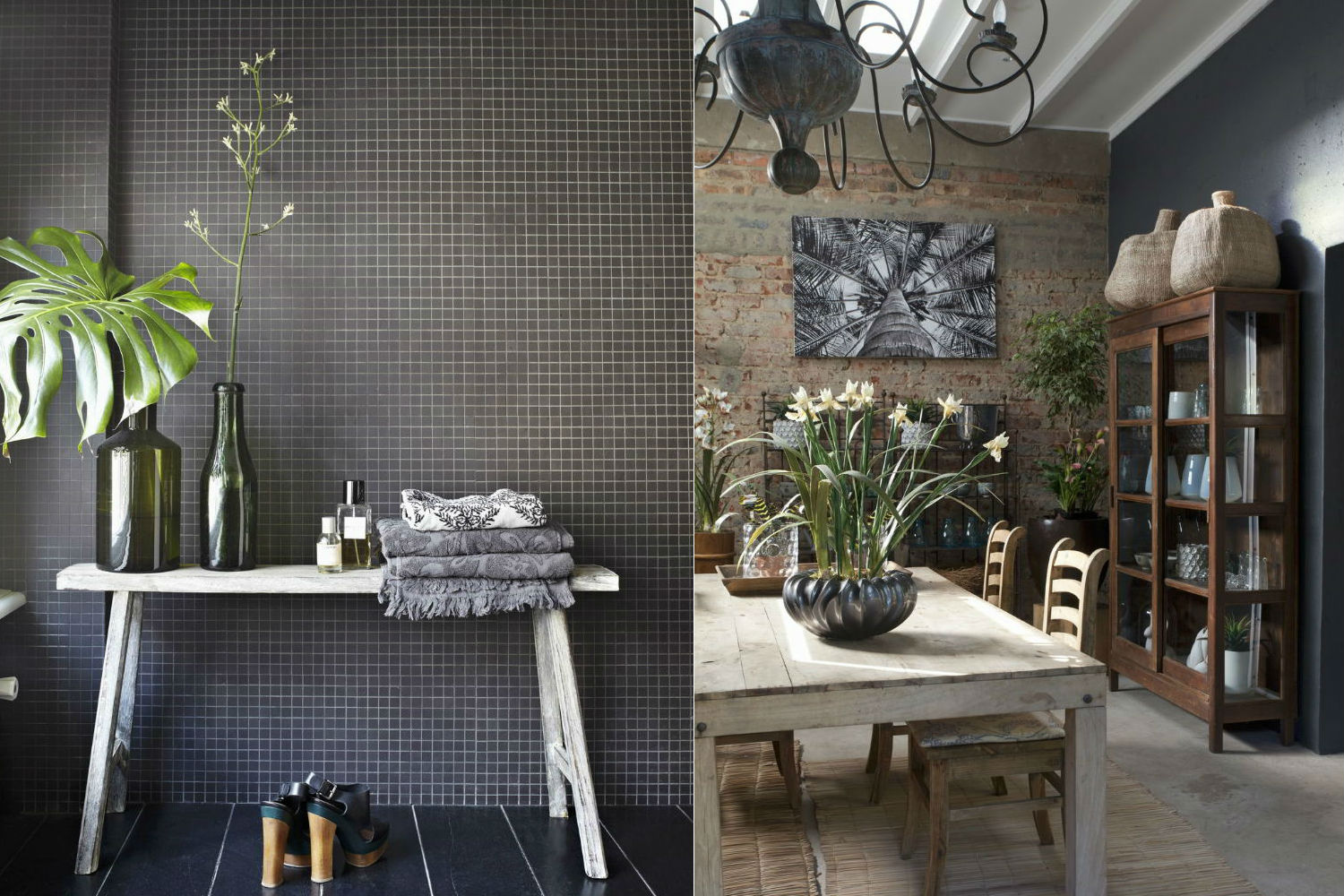 Dalani, Fiori, Moda, Casa, Stile, Must Have, Inverno