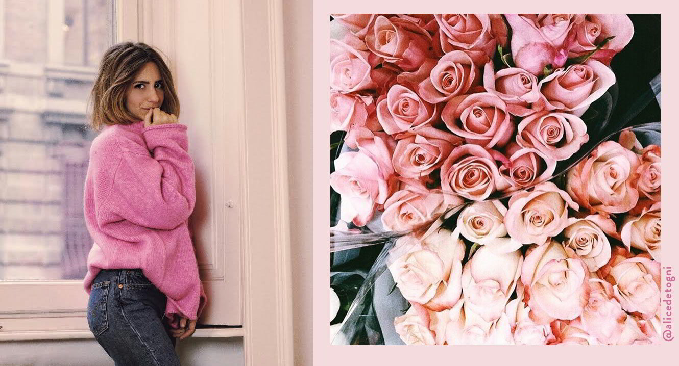 Dalani, Rosa, Casa, Colori, Decorazioni, Moda