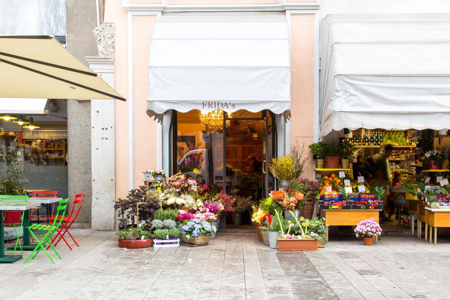Dalani, Frida's, Fiori, Spazio, Casa, Outdoor, Colori, Trend, Stile