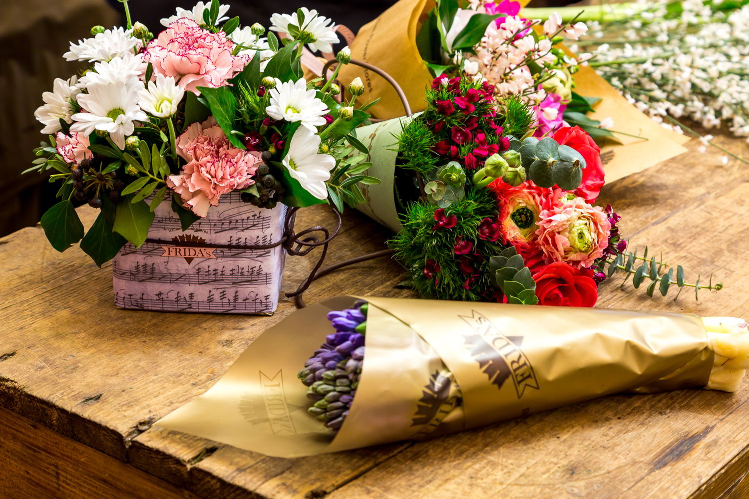 Dalani, Frida's, Fiori, Spazio, Casa, Outdoor, Colori, Trend, Stile