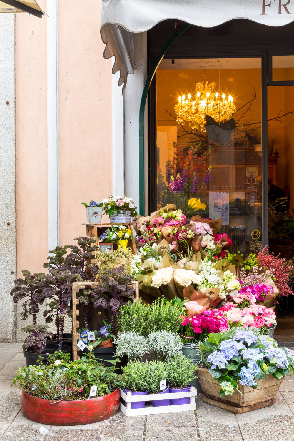 Dalani, Frida's, Fiori, Spazio, Casa, Outdoor, Colori, Trend, Stile