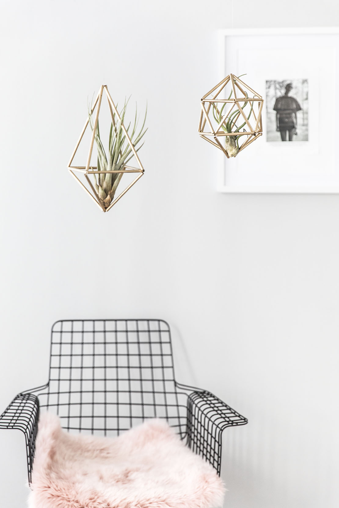 himmeli decorazioni piante
