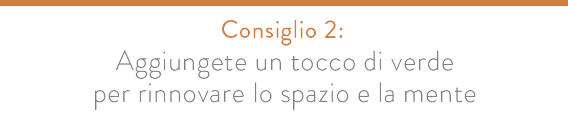 restyling di un interno piante