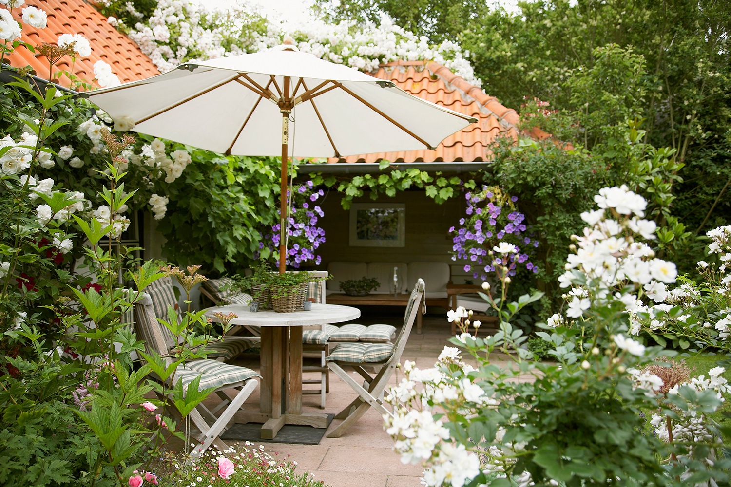 Simonetta Chiarugi, Aboutgarden, Arredamento, Consigli, Estate, Fiori, Giardino