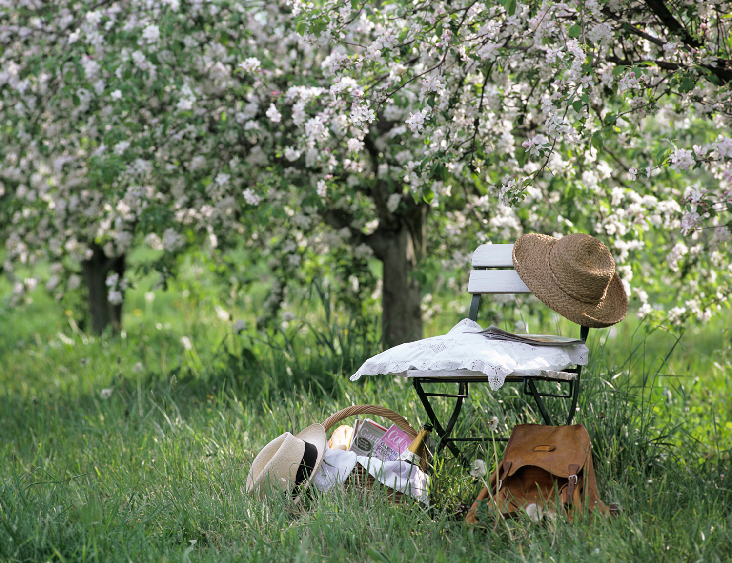Simonetta Chiarugi, Aboutgarden, Arredamento, Consigli, Estate, Fiori, Giardino