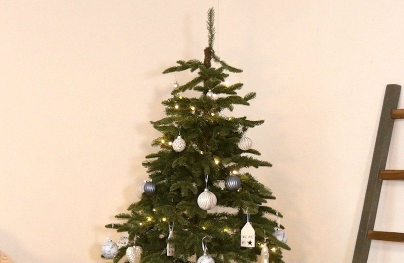 Albero di Natale - Guida pratica