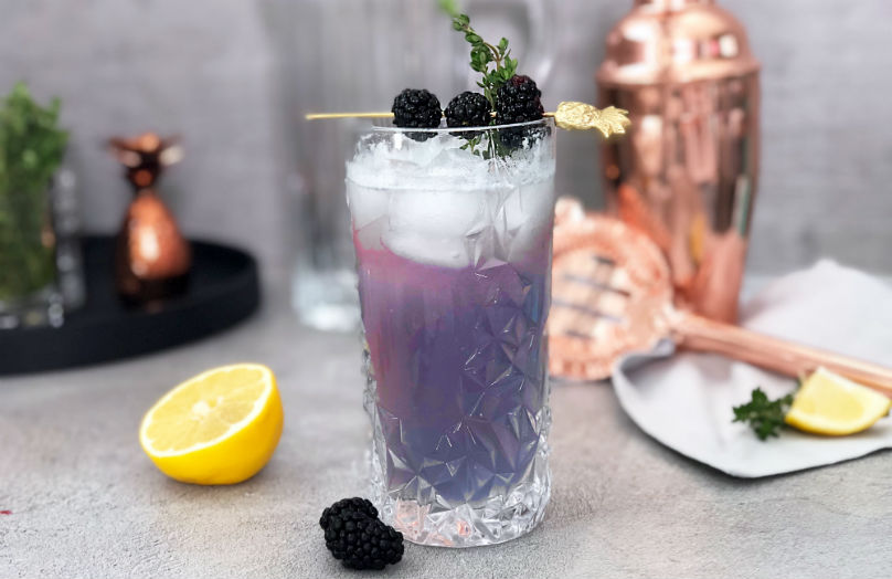 Gin fizz alle more - Ricetta