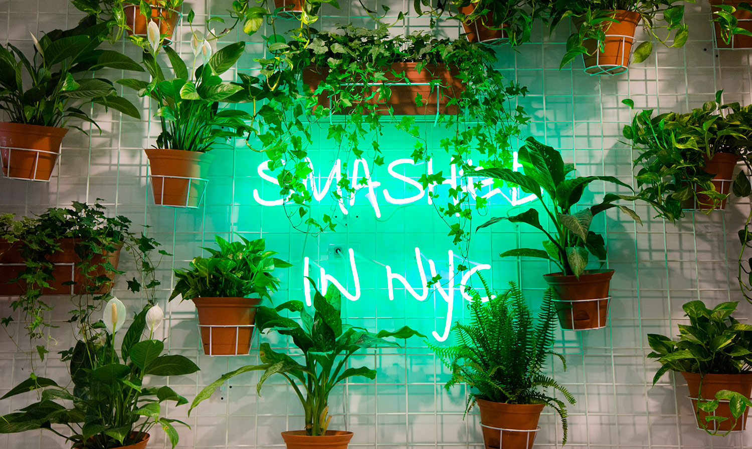 Avocaderia, New York, Avocado, Stile, Design, Bar