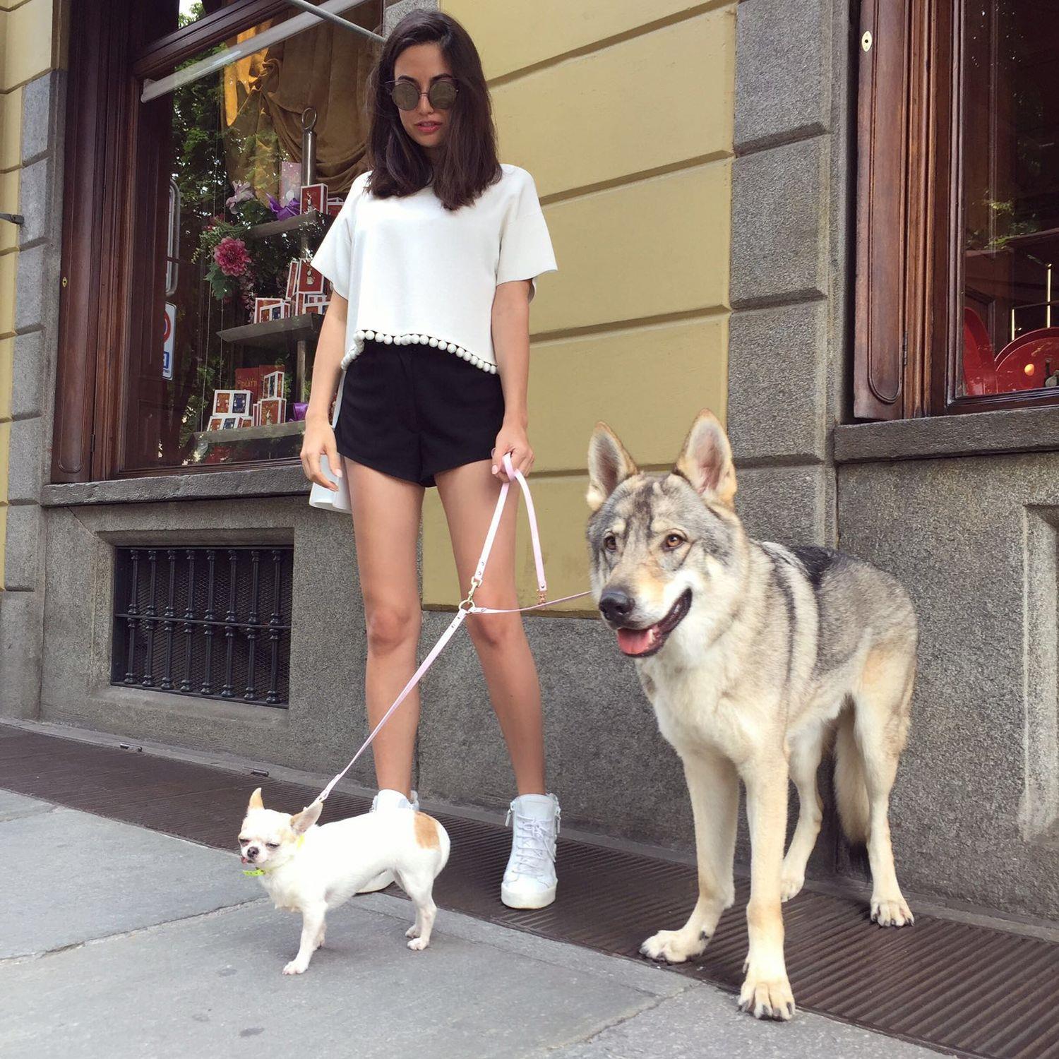 Dalani, Giulia Valentina e La Sua Cagnolina Chihuahua Gue Dalani, Giulia Valentina, Casa, Parigi, Milano, Tv, Spazio, Passione
