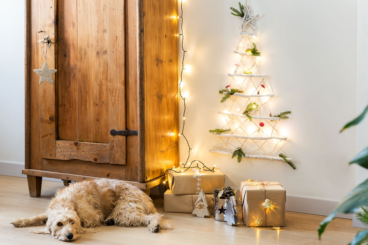 Dalani, Natale, Decorazioni, Spazio, Fai da Te, Arte