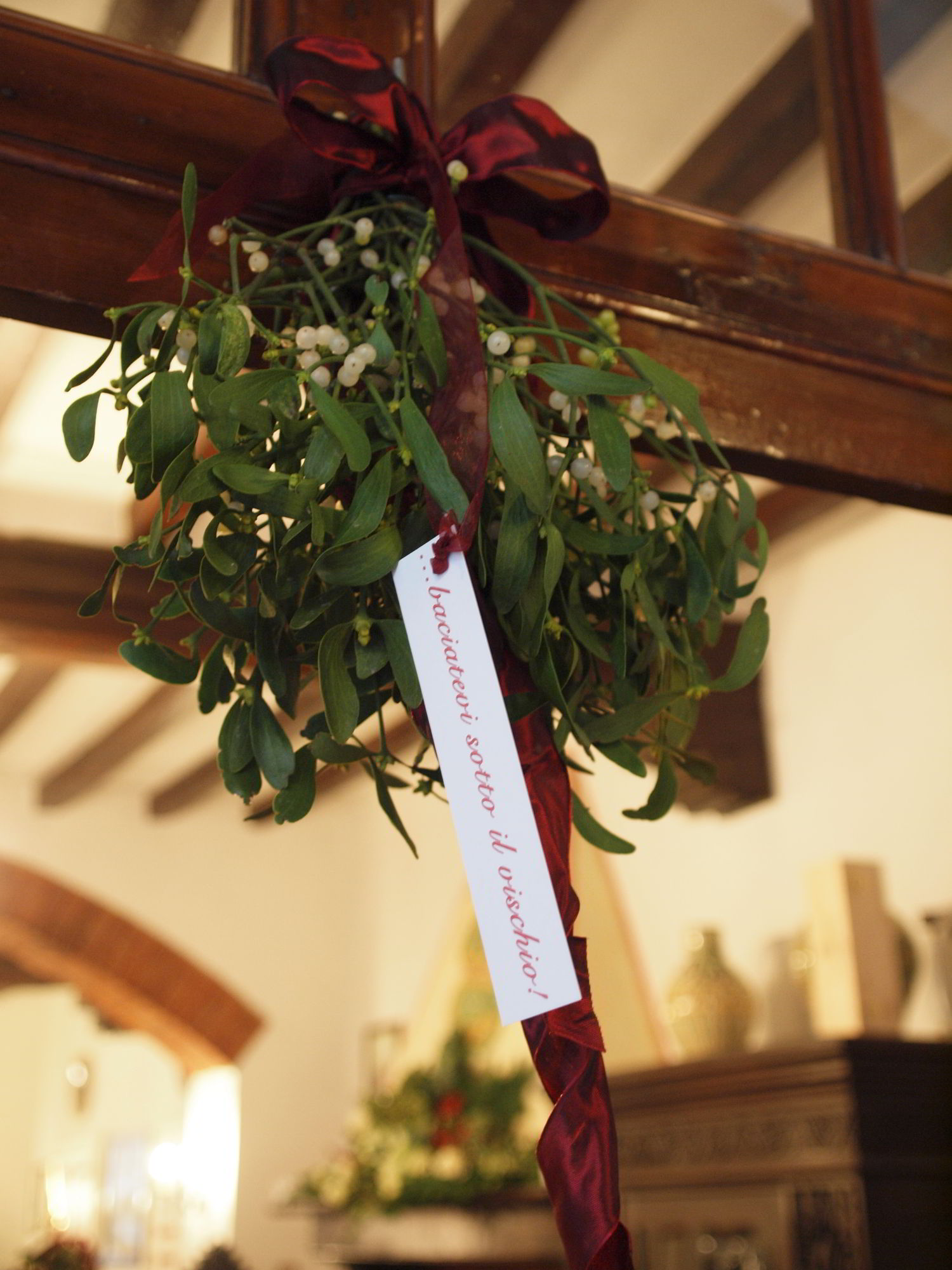 Dalani, Matrimonio, Style, Natale, Inverno, Fiori, Natura, Ispirazioni, Tv