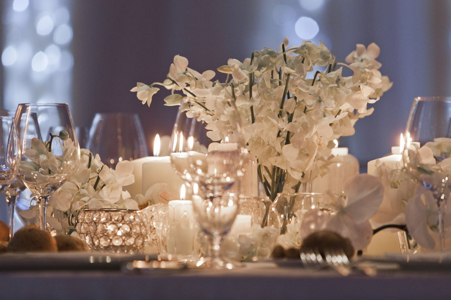 Dalani, Matrimonio, Style, Natale, Inverno, Fiori, Natura, Ispirazioni, Tv