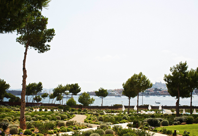 Landschap-ibiza