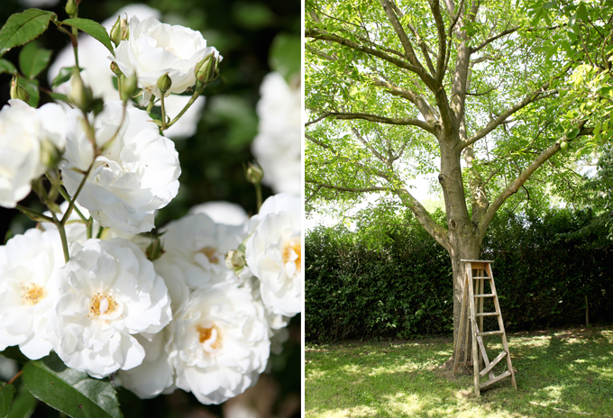 tuin-2