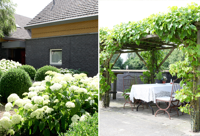 tuin-5