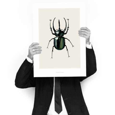 Artprints van Hagedornhagen