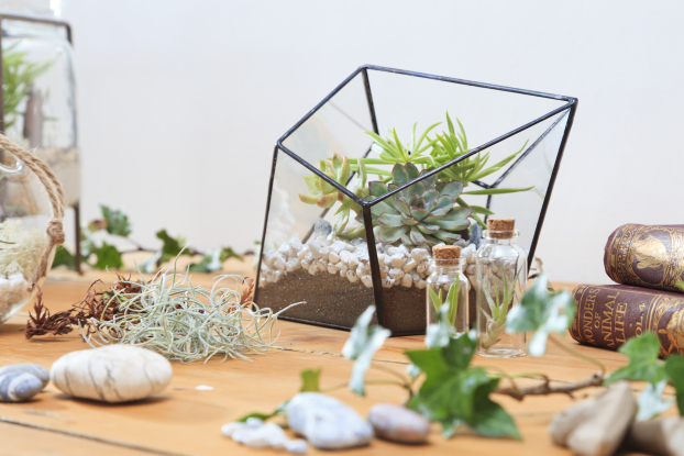 URBAN BOTANIST-219-2 (Lucy Serafi's conflicted copy 2014-02-07)