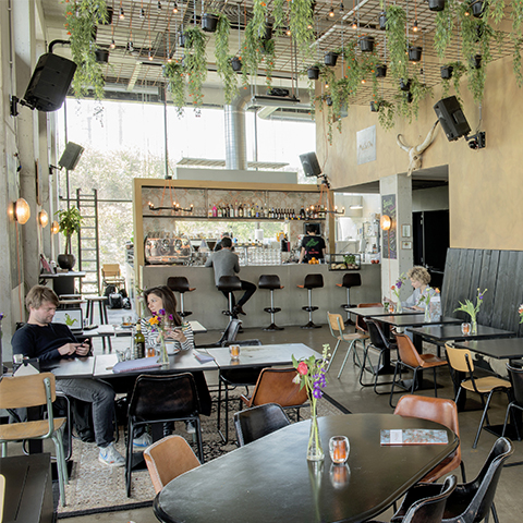 Grand-café Maslow - De huiskamer van het Science Park
